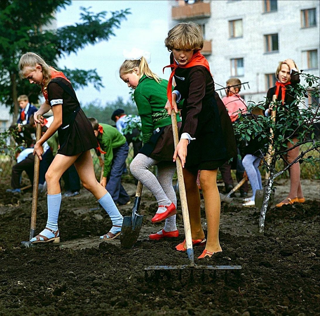 а _ _ _ьъім К 94 Ав ацмолри __