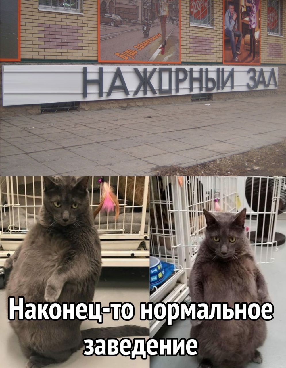 ТЧ _ Ё ЫИ 7 _ _ уы