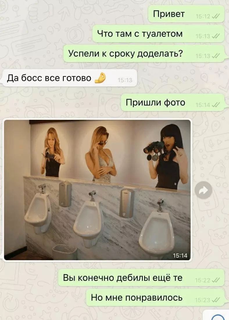 Привет Что там с туалетом Успели к сроку доделать Да босс все готово Пришли фото Вы конечно дебилы ещё те НО мне понравилось