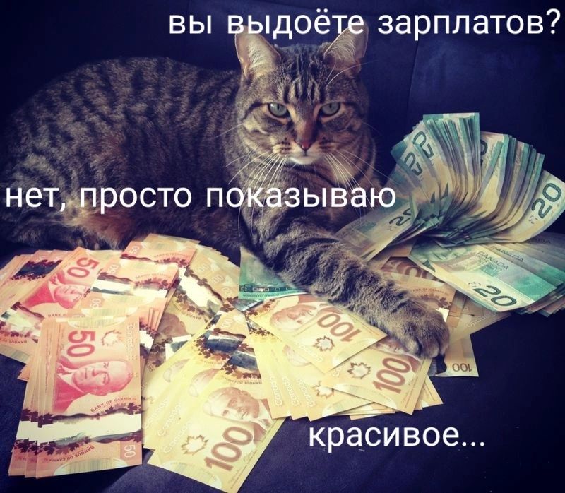идеЁ зарплатов