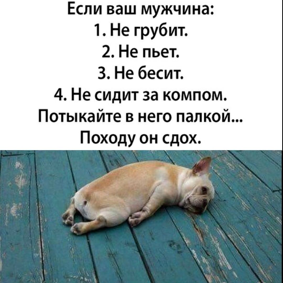 Если ваш мужчина 1 Не грубит 2 Не пьет 3 Не бесит 4 Не сидит за компом Потыкайте в него палкой Походу он сдох