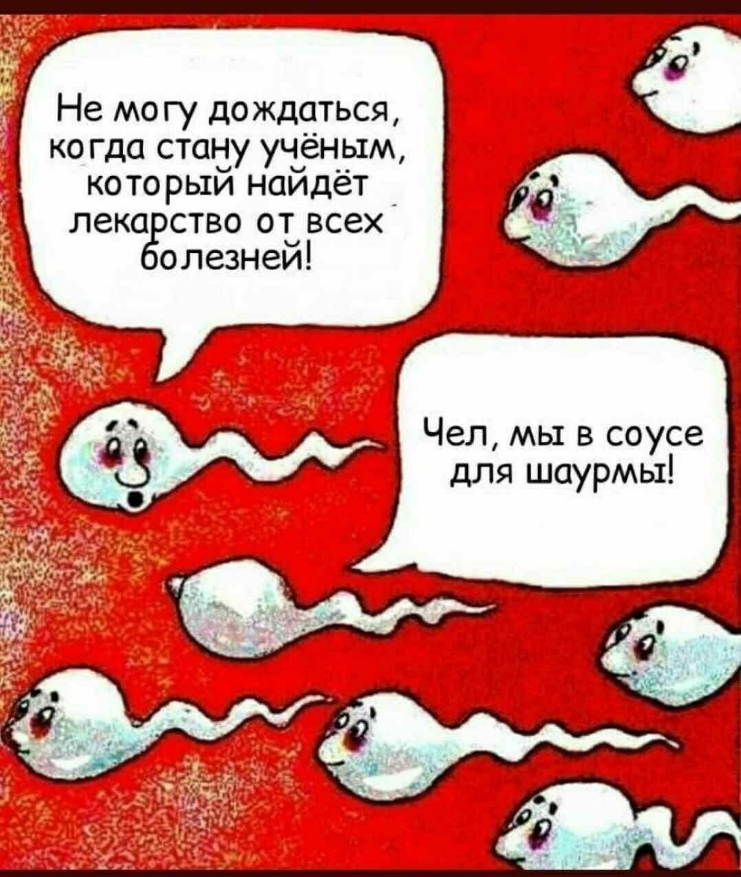 Не могу дождаться ко гда стаііу учёным которьхи наидет _ лека ство от всех олезней Чел мы в соусе для шаурмы