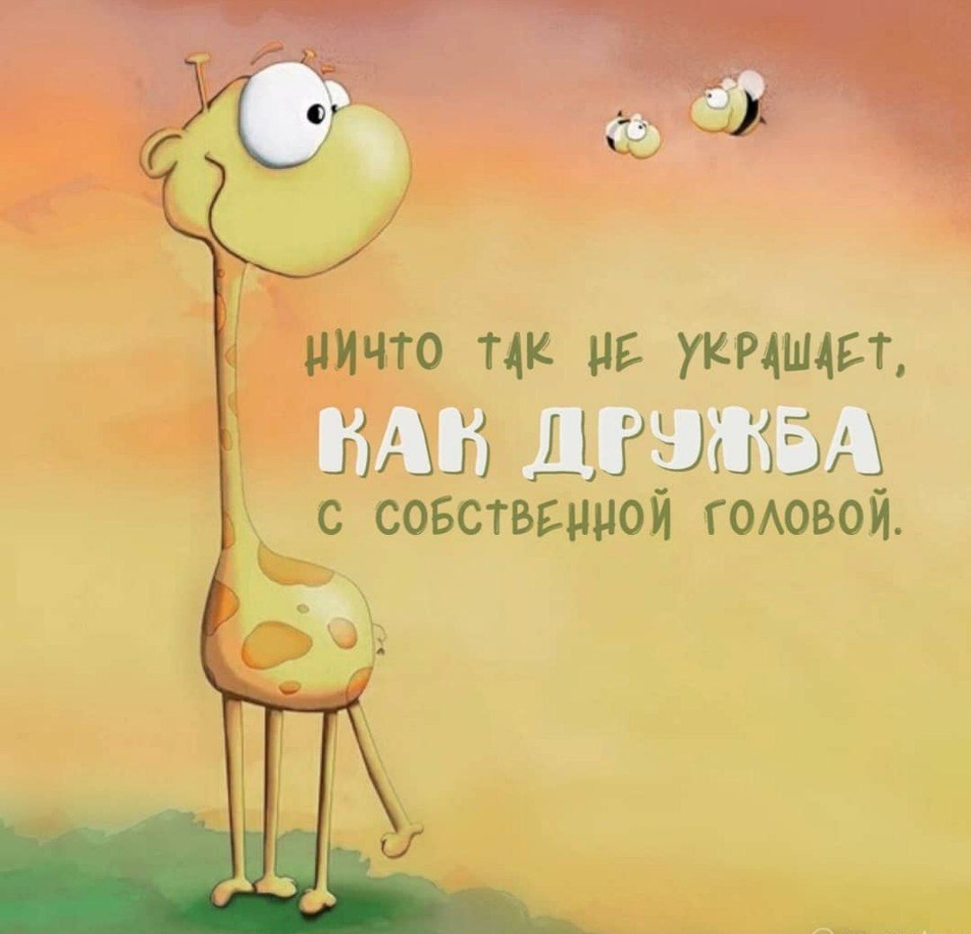 НИЧТО ТАК НБ УКР4Ш4БТ ПММ ДРШЖБА с собстввииой гоиювой