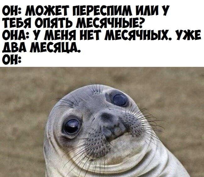 ОН МОЖЕТ ПЕРЕСПИМ или У ТЕБЯ ОПЯТЬ МЕСЯЧПЫЕ ОНА У МЕНЯ НЕТ МЕСЯЧНЫХ УЖЕ АВА МЕСЯЦА он