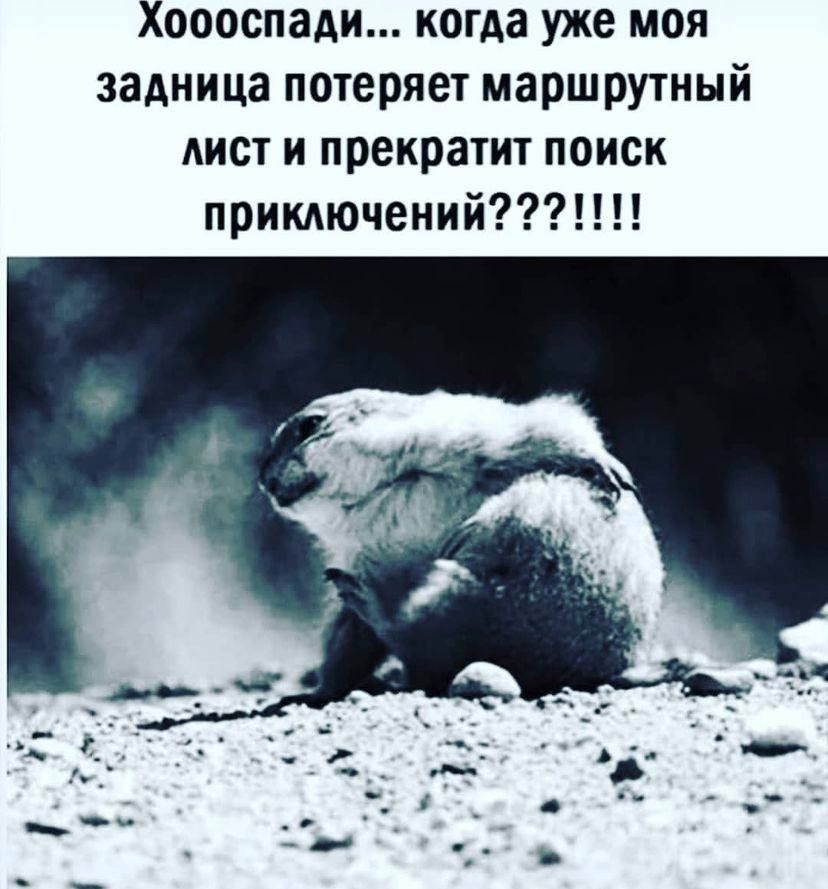 Хоооспади когда уже моя задница потеряет маршрутный АИСТ и прекратит поиск прикдючений