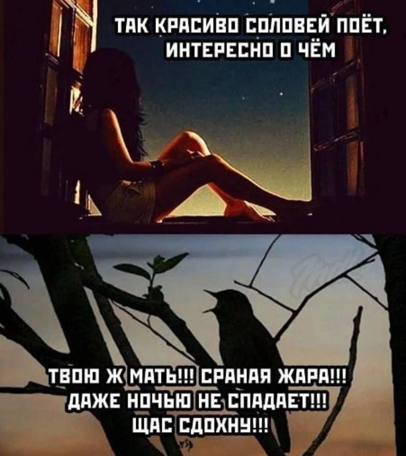 _ ТЧ ТПК КРАСИВП БПЛПВЕЙ ППЁТ ИНТЕРЕЕНП П ЧЁМ щяЕ дпхннпц