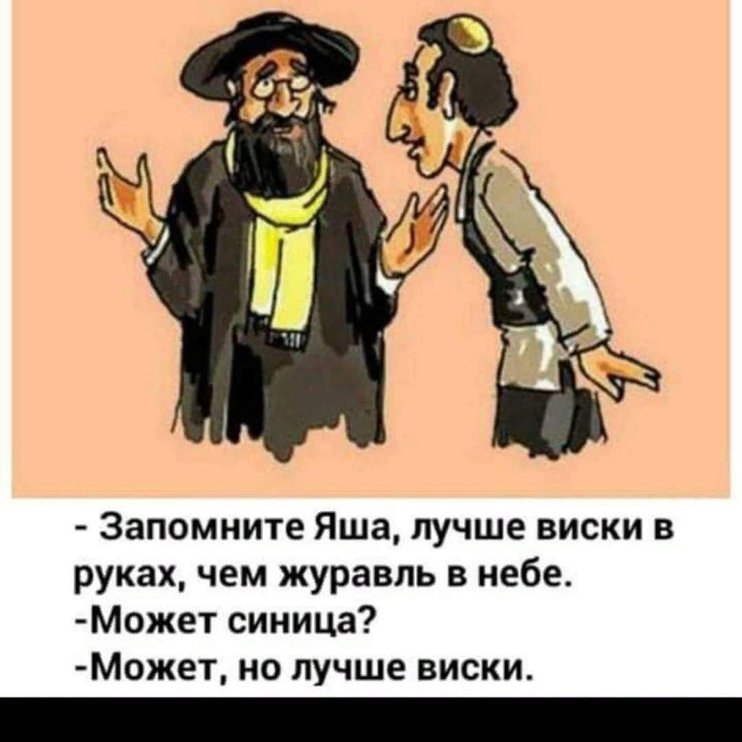 Запомните Яша лучше виски в руках чем журавль в небе МОжет синица МОжет но лучше виски