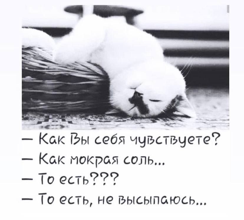 Как Вы себя чувствуете Как мокрая соль То есть То есть не Высыпаюсь