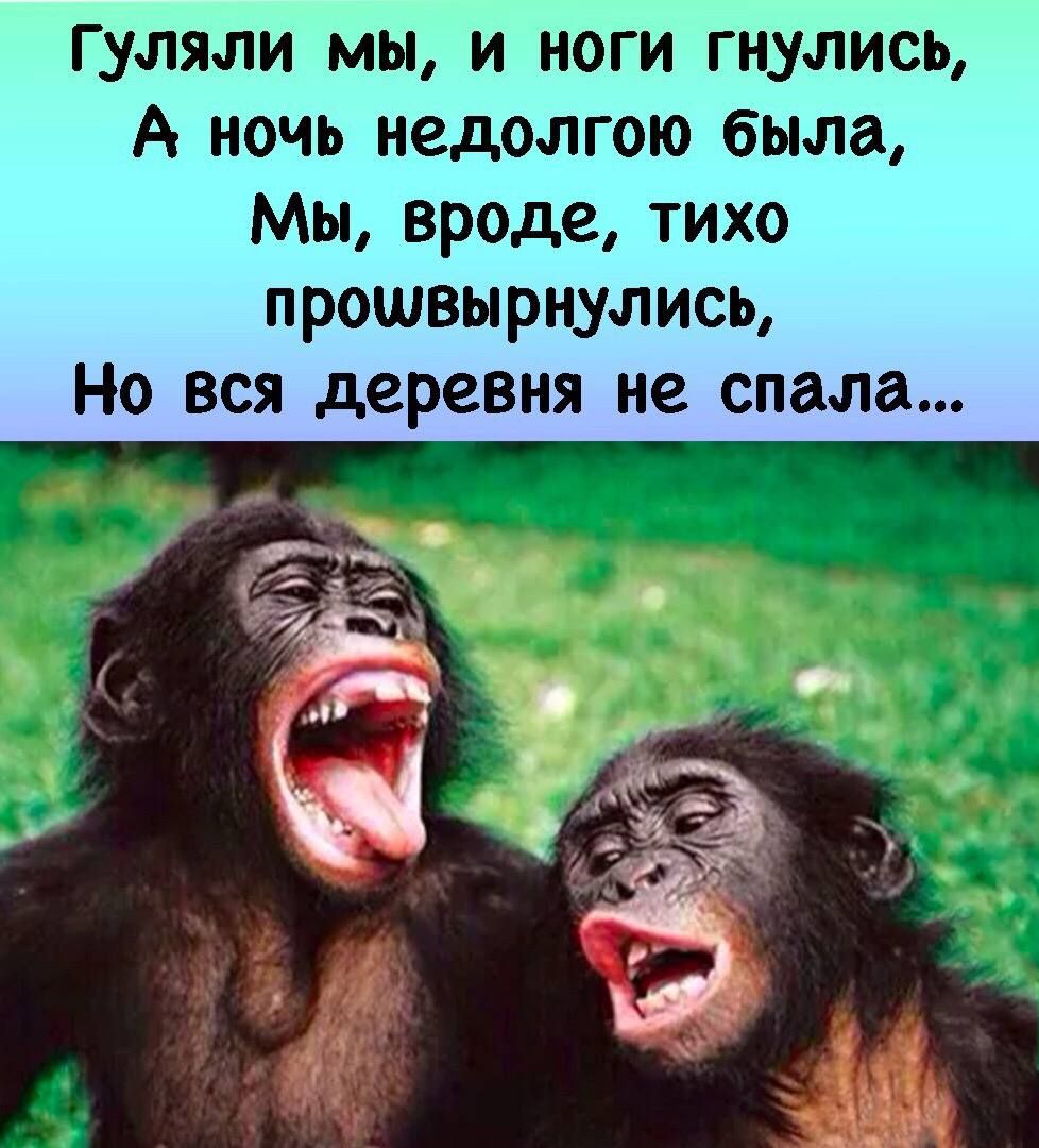 Гуляли мы и ноги гнулись А ночь недолгою была Мы вроде тихо прошвырнулись Но вся деревня не спала