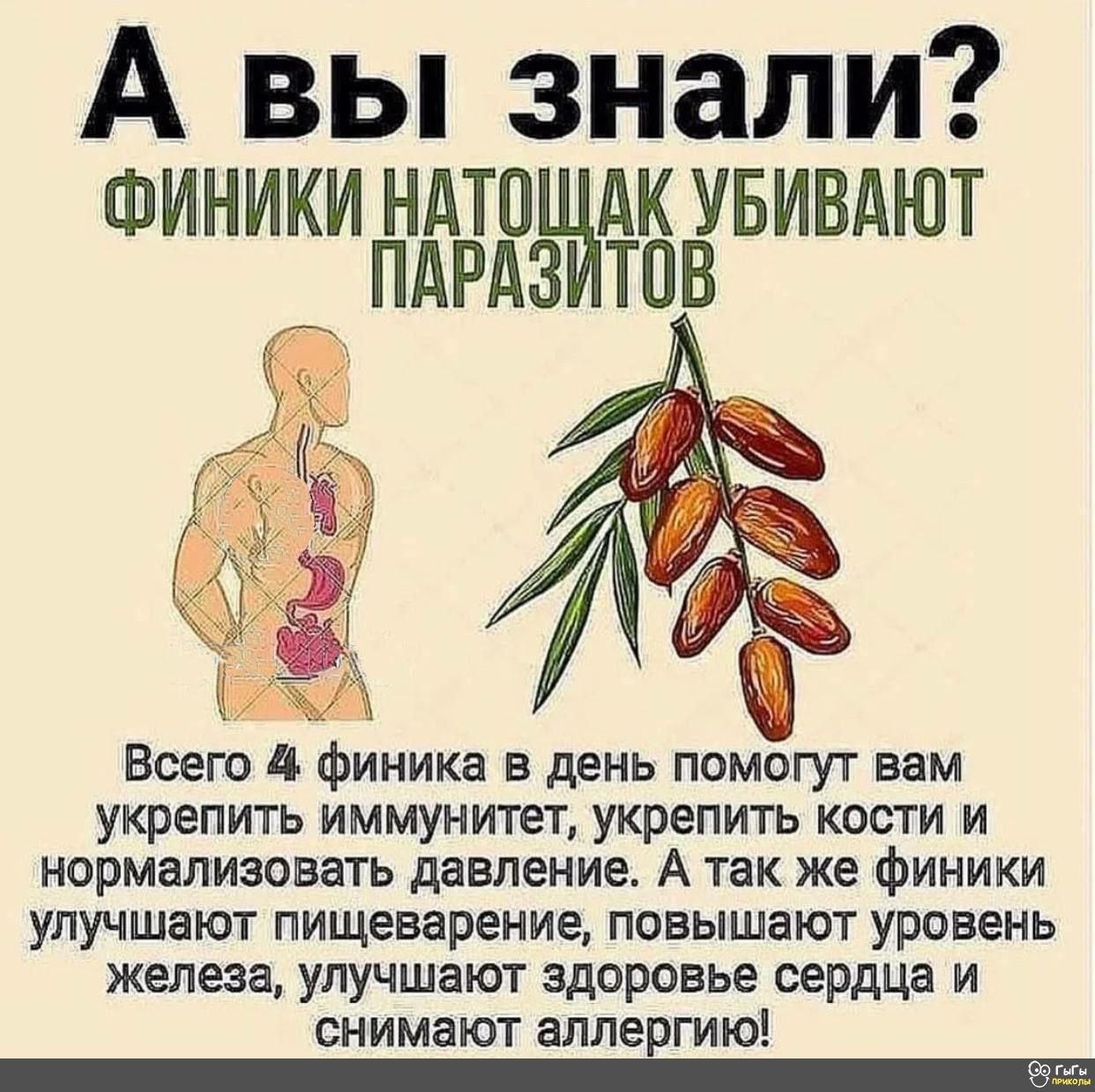 А вы знали ФИНИКИ НАТПНйАК УБИВАЮТ _ПАРАЗ ТОВ Всего финика в день помогут вам укрепить иммунитет укрепить кости и нормализовать давление А так же финики улучшают пищеварение повышают уровень железа улучшают здоровье сердца и снимают ЗППЕЁГИЮ