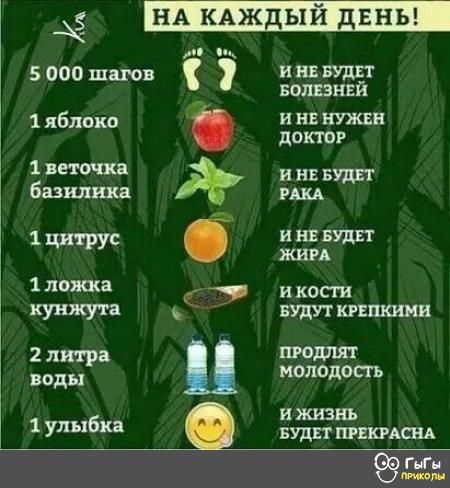 4 в 5 000 шагов инввудп _ вошнвй 1 яблока и ш нужвн доктор 1 веточки базилика цитрус 1 ложка _ и кости ЖУНЖУТЗ БУДУТ кгвпкиии литра падут воды молодость б ижизнь 1 Уд 3 зудит тики ГЬГМ шп