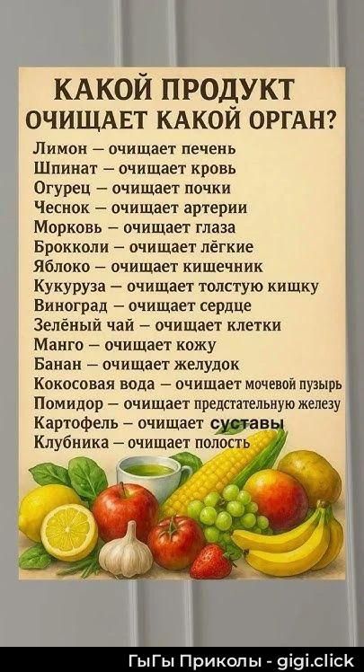 КАКОЙ ПРОДУКТ ОЧИЩАЕТ КАКОЙ ОРГАН? Лимон — очищает печень Шпинат — очищает кровь Огурец — очищает почки Чеснок — очищает артерии Морковь — очищает глаза Брокколи — очищает лёгкие Яблоко — очищает кишечник Кукуруза — очищает толстую кишку Виноград — очищает сердце Зелёный чай — очищает клетки Манго — очищает кожу Банан — очищает желудок Кокосовая вода — очищает мочевой пузырь Помидор — очищает предстательную железу Картофель — очищает суставы Клубника — очищает полость