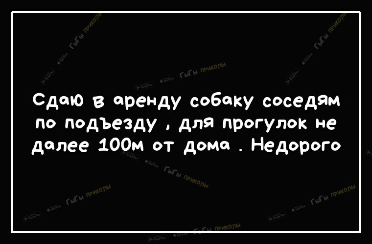 Сдаю в аренду собаку соседям по подЪезду для прогулок не долее 100м от дома Недорого