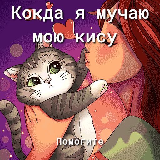 Кокдахя мучаю 50 СУ 313 А