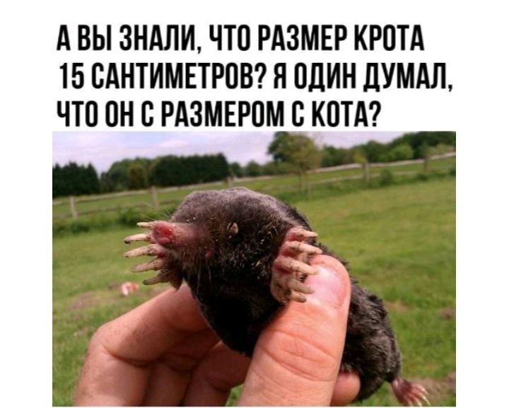 А ВЫ 8НАЛИ ЧТО РАЗМЕР КРПТА 15 ВАНТИМЕТРОВ Я один дУМАЛ ЧТП он В РАЗМЕРОМ С КПТА