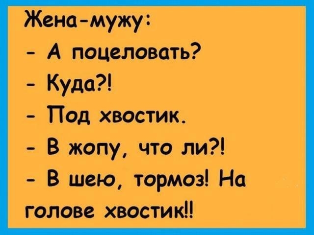 Женамужу А поцеловать Куда Под хвостик В жопу что ли В шею тормоз На голове хвостикН