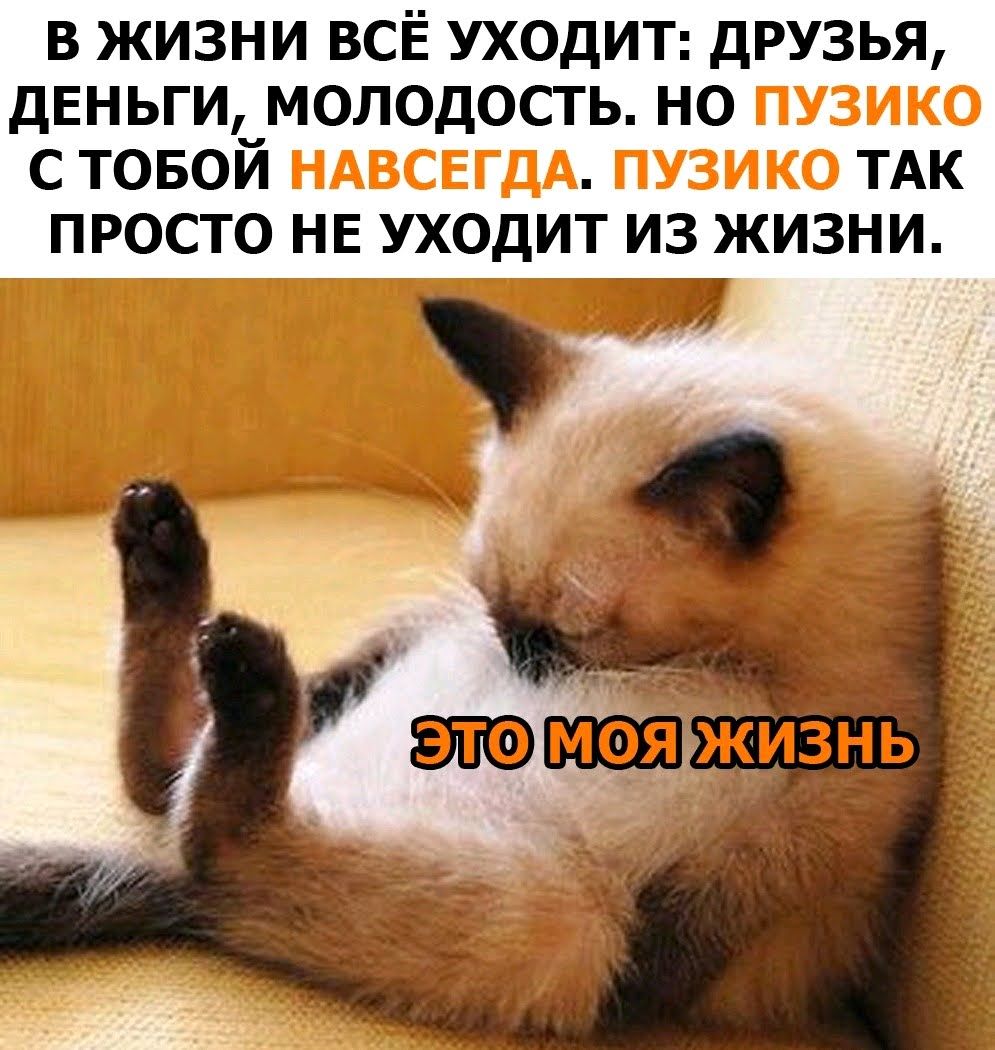 В ЖИЗНИ ВСЁ УХОДИТ ДРУЗЬЯ ДЕНЬГИ МОЛОДОСТЬ НО С ТОБОЙ ТАК ПРОСТО НЕ УХОДИТ ИЗ ЖИЗНИ