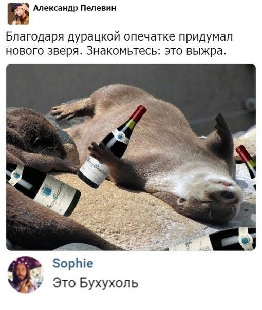 Александр Пелевин Благодаря дурацкой опечатке придумал нового зверя Знакомьтесь это выжра орЬіе Это Бухухопь