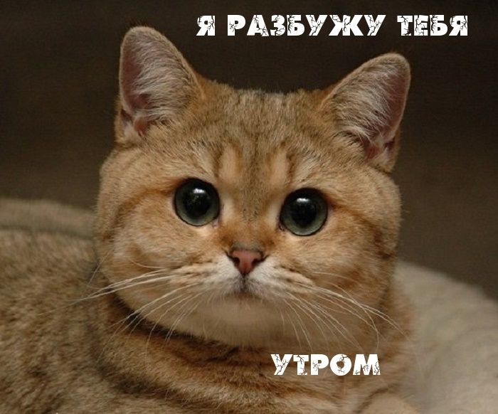 Я РАЗБУЖУ ТЕБЯ