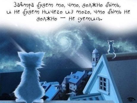 Здатга 977 тв Что вмжно Ыть нг тт НыЧРгч ы тэга чта ыгпь не сча не устцсь