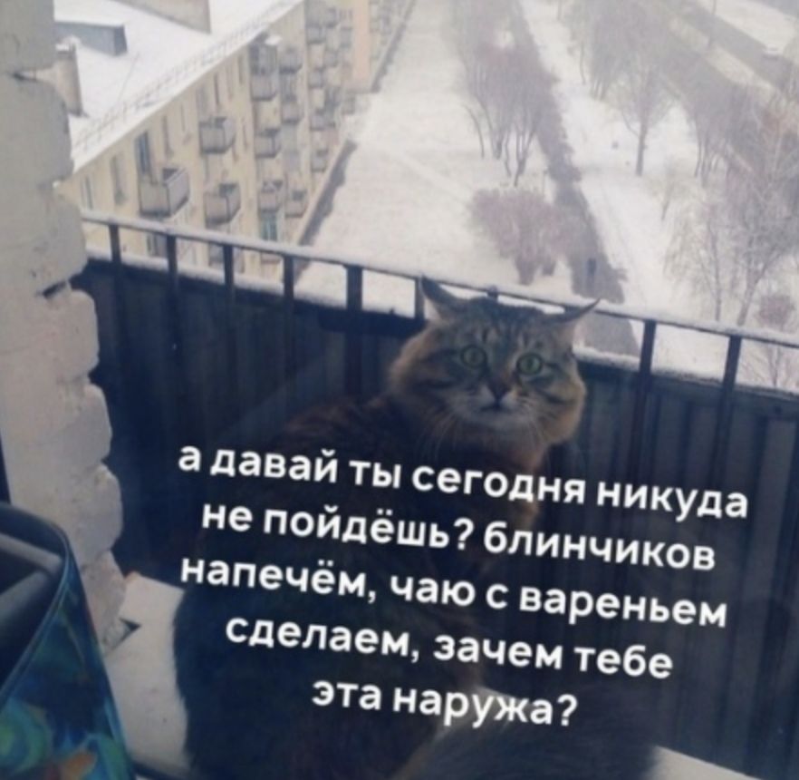 Адавай ты сегод, ня никуда не пойдёшь? Блинчиков напечём, чаю с вареньем сделаем, зачем тебе эта наружа?