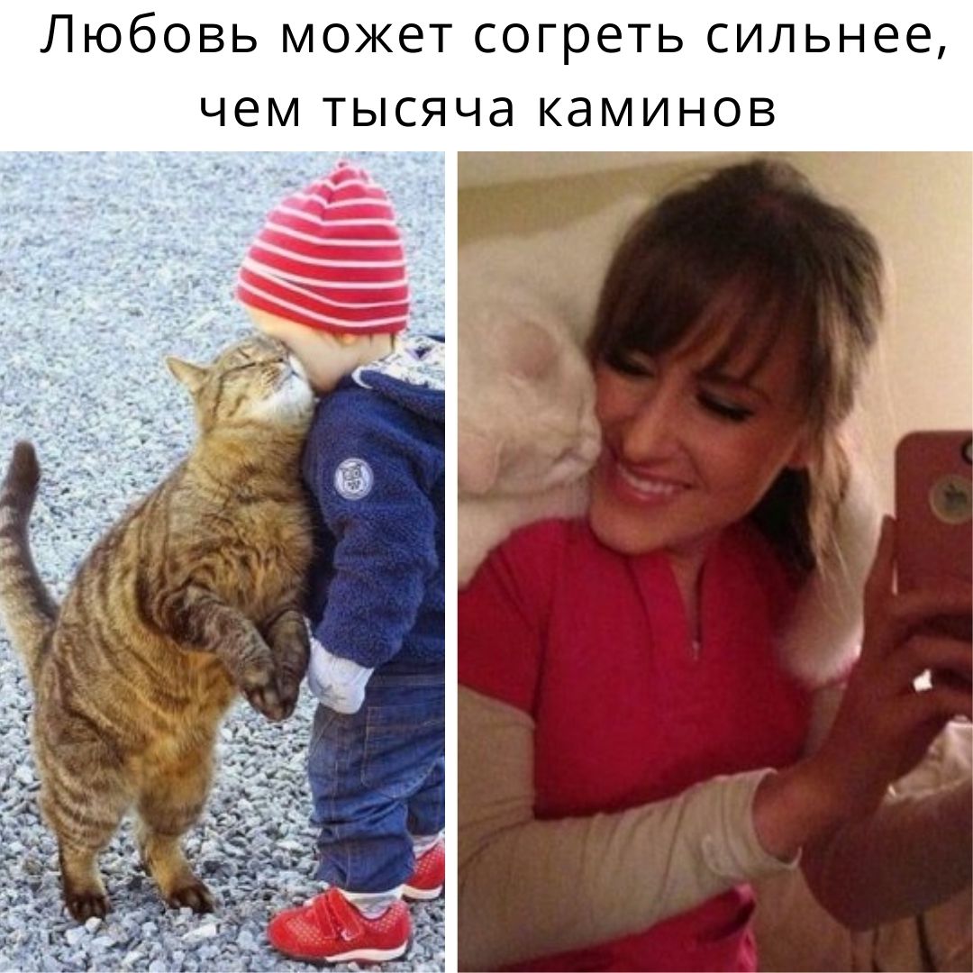 6 е Н ь Л и С Ь Т е 0 Г О С Т е ж 0 М ь В 0 б Ю П КдМИНОВ ЧЕМ ТЫСЯЧд