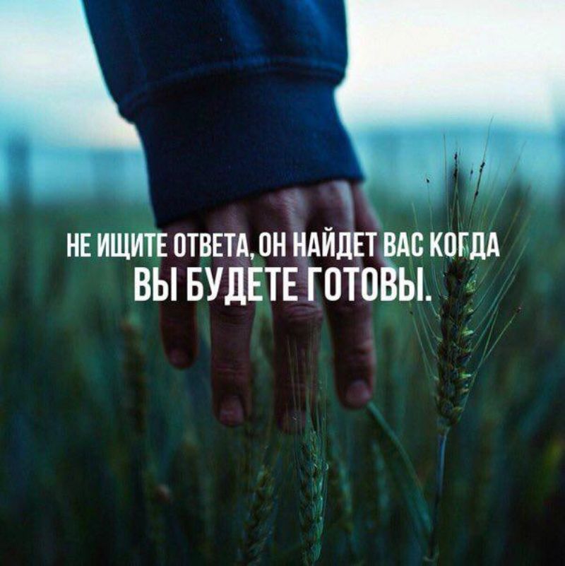 нвишитютввтмн идишА АВ коилд ВЫ БУДЕТЕ ГОТП Ы