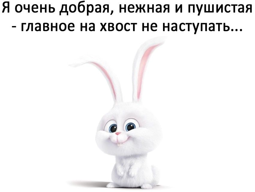 Я очень добрая нежная и пушистая главное на хвост не наступать