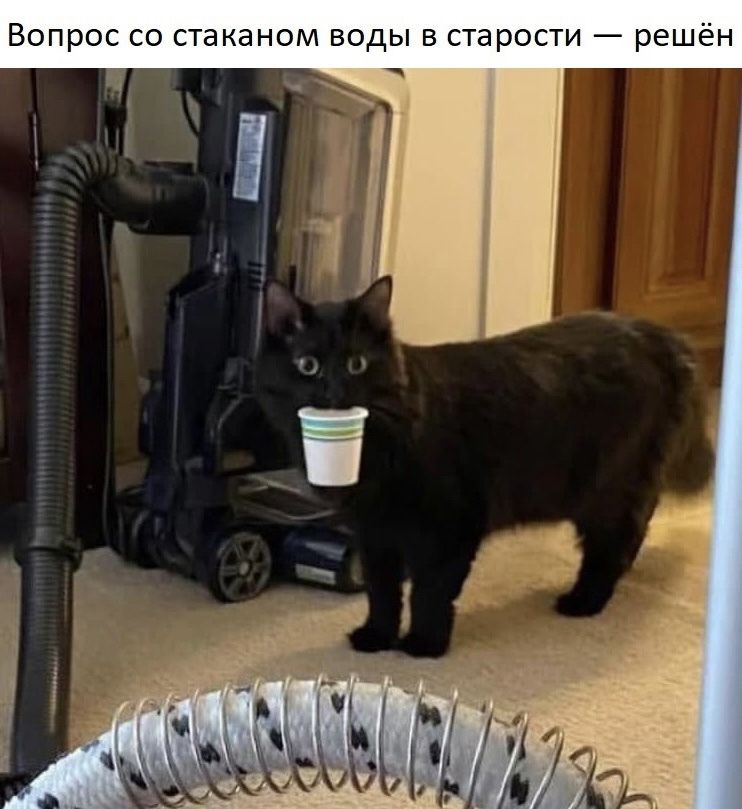 Вопрос со стаканом воды в старости решён