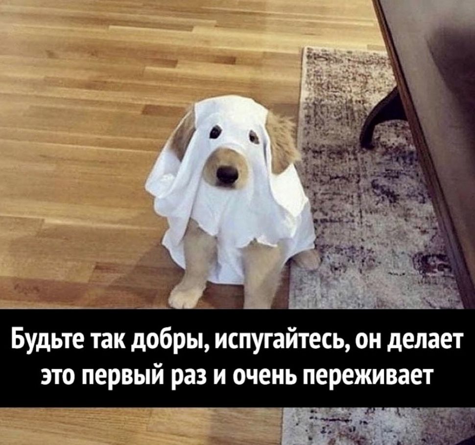 ___ _ о Будьте так добры испугайтесь он делает это первый раз и очень переживает
