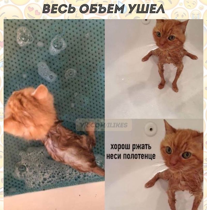 ВЕСЬ ОБЪЕМ УШЕА