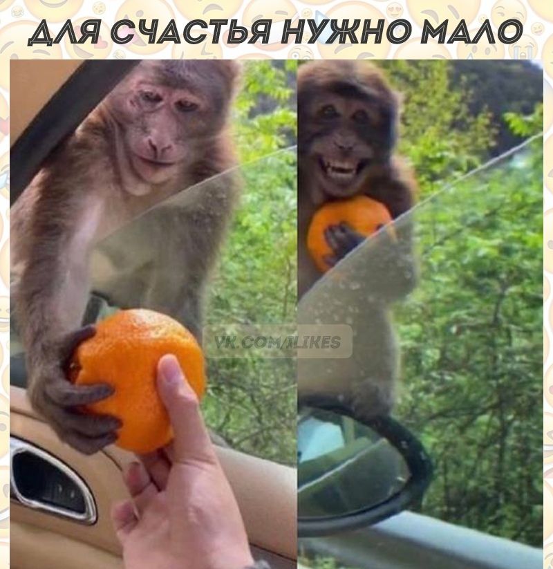 ААЯ СЧАСТЬЯ НУЖНО ММО