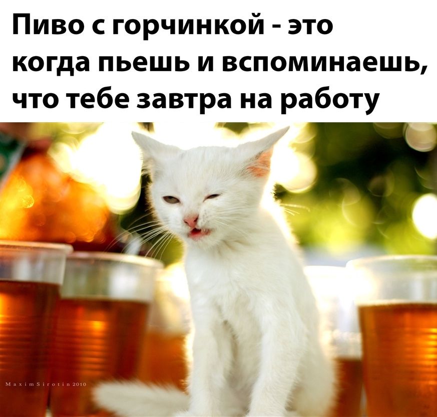 Пиво горчинкой это когда пьешь и вспоминаешь что тебе завтра на работу