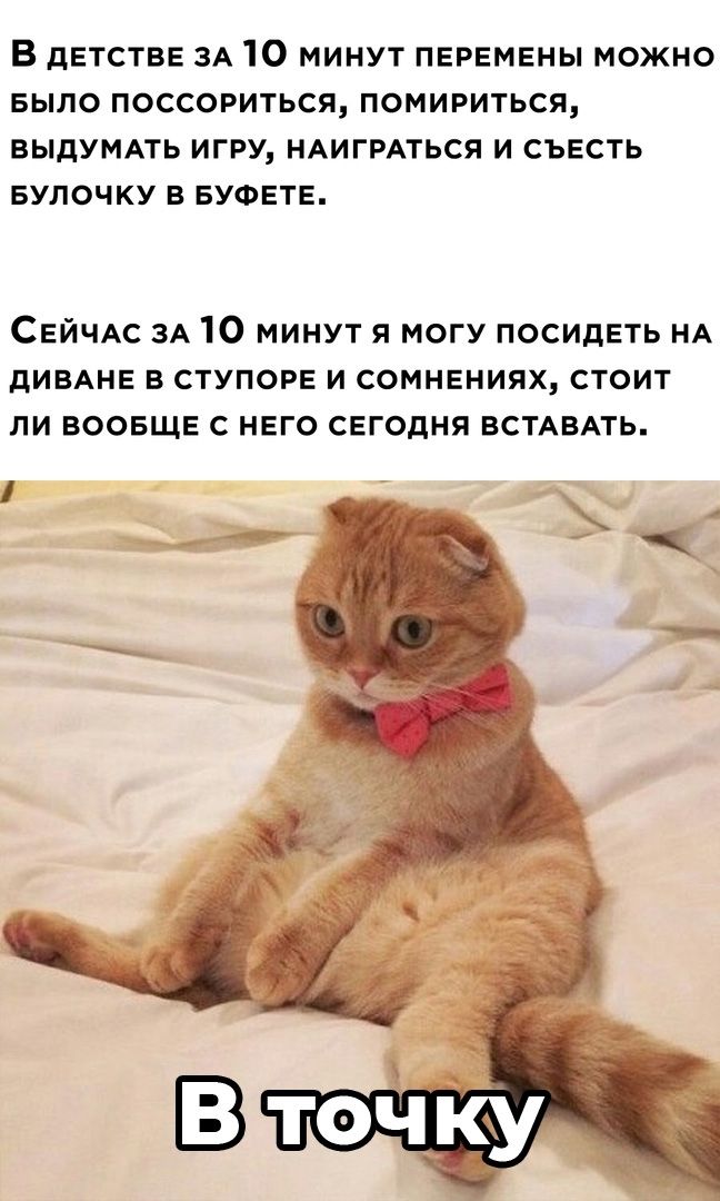 В дЕТСТВЕ ЗА 10 МИНУТ ПЕРЕМЕНЫ МОЖНО БЫЛО ПОССОРИТЬСЯ ПОМИРИТЬСЯ БЫДУМАТЬ ИГРУ НАИГРАТЬСЯ И СЪЕСТЬ БУЛОЧКУ В БУФЕТЕ СЕЙЧАС зА 10 минут я могу посидеть НА дивднв ступор и сомнениях стоит ли ВООБЩЕ с него сегодня БСТАБАТЬ