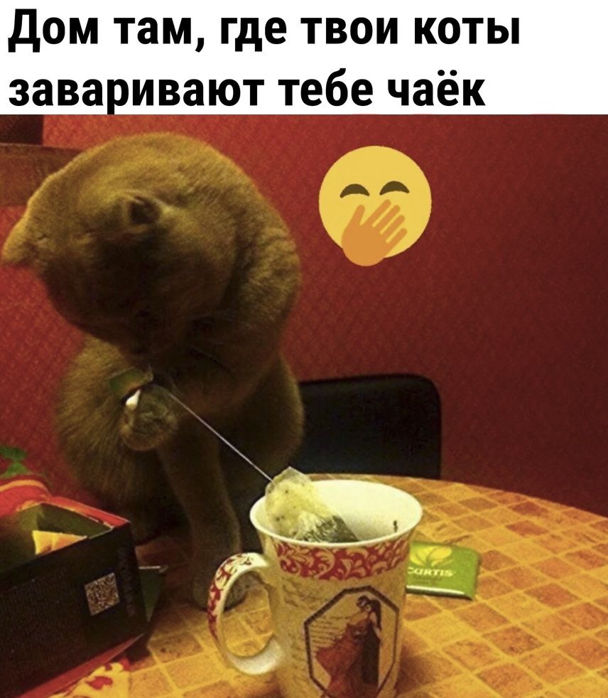 дом там где твои коты зава ивают тебе чаёк
