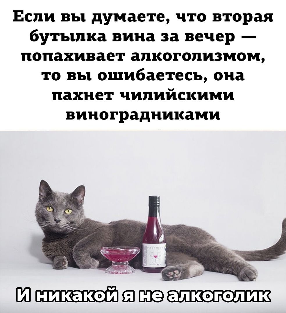 Если вы думаете что вторая бутылка вина за вечер попахивает алкоголизмом то вы ошибаетесь она пахнет чипийскими виноградниками