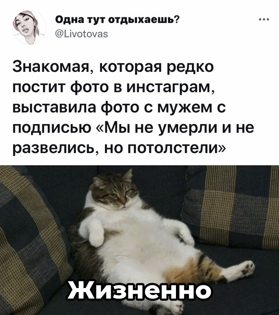 й Одна тут отдыхаешь Щоюуаз Знакомая которая редко постит фото в инстаграм выставила фото с мужем с подписью Мы не умерли и не развелись но потолстели Жизнед іно