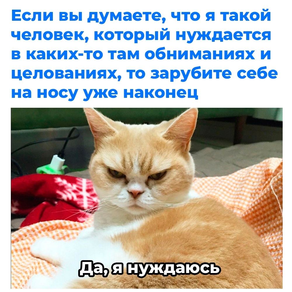 Если вы думаете что я такой человек который нуждается в каких то там обниманиях и целованиях то зарубите себе на НОСУ уже наконец