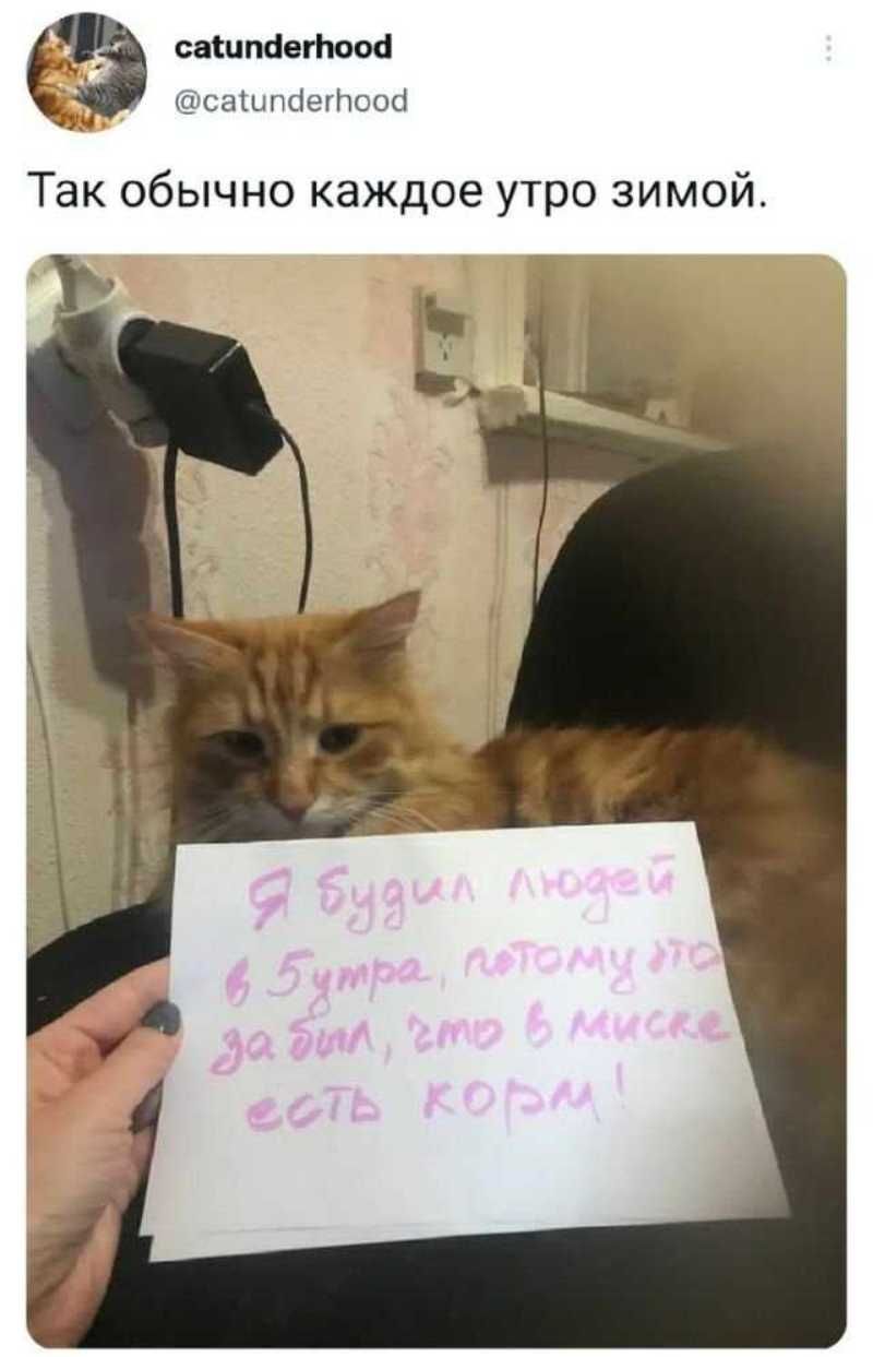 д_ вмиг антов ч пы ЦШГтсшЦ Так обычно каждое утро зимой