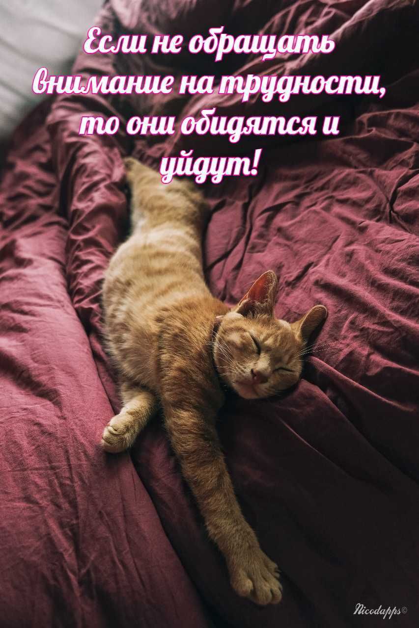 Ть