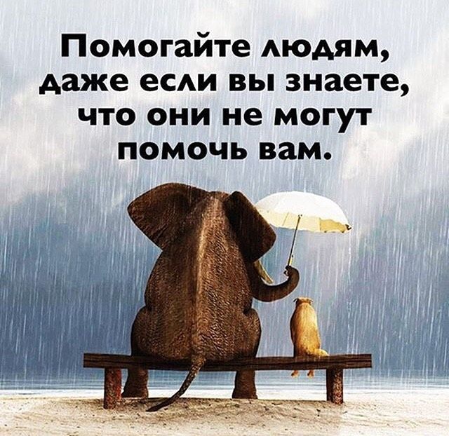 Помогайте АЮАЯМ даже есди вы знаете что они не могут помочь вам
