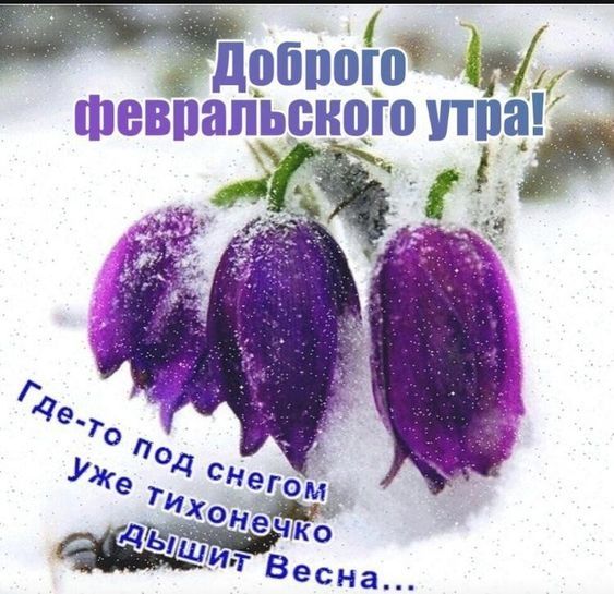 Й і ідобпоЁо а Ё _ ШВВПЯПЬСНЗЕП На цы