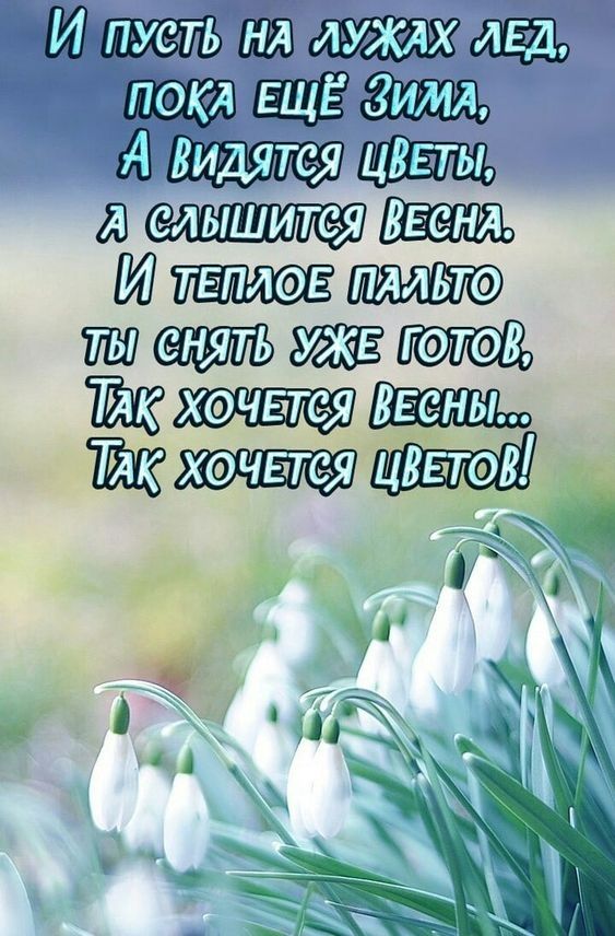 Ю вшиЪЯЕДЕ тшштфшаш Юг Щ тз ЁК 15 _ к 1 К