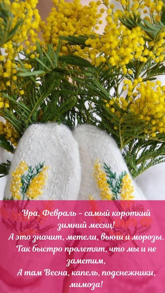 ил 13 шт 1