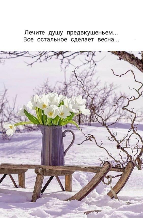 Лечите душу предвкушеньем Все остальное сделает весна