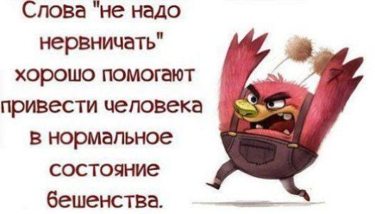 Слова не надо нервничать хорошо помогают приввсти чеповгка в нормальное состояние бешенствг