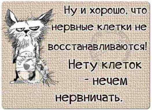 нечем нервничать Ну и хорошо чтоі чайнервные кпеіки не _ восстанавливаютсяк Нету кпеТок 4 _Ы_______ _ __ ___1_ ___1