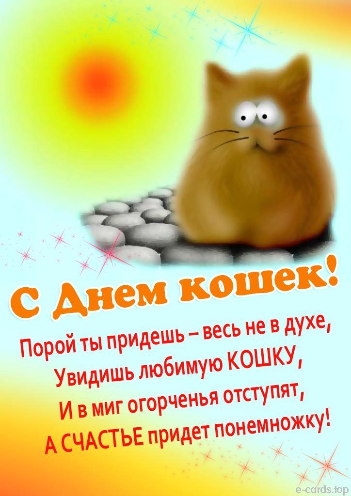 А5юр