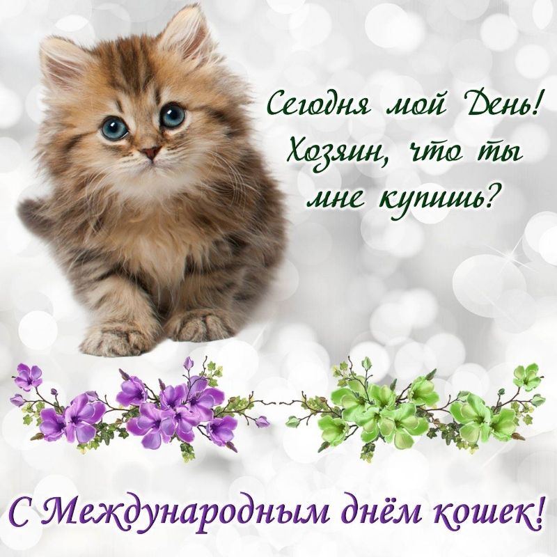 С тщдународнъш днём кошею