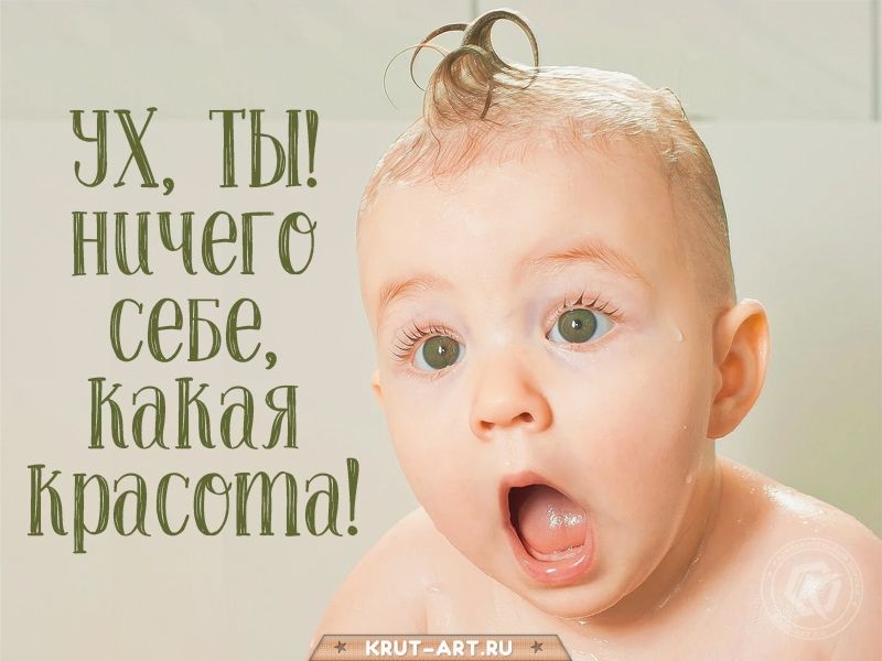 НХ ТЬ Ё д _ ничего у 6656 Пасата